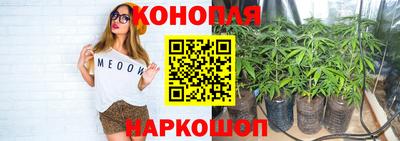 PSILOCYBIN Аргун