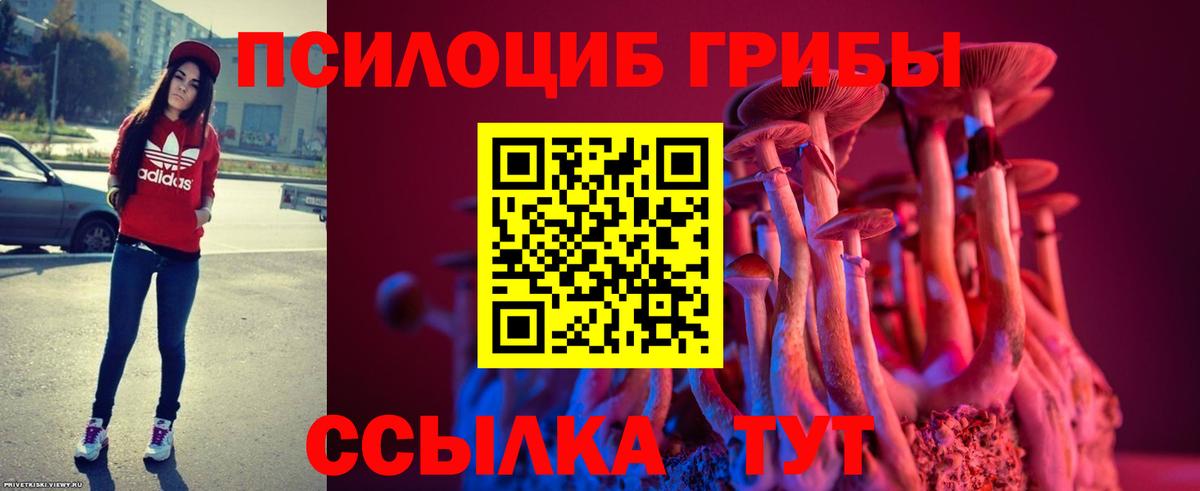 Галлюциногенные грибы ЛСД Воронеж