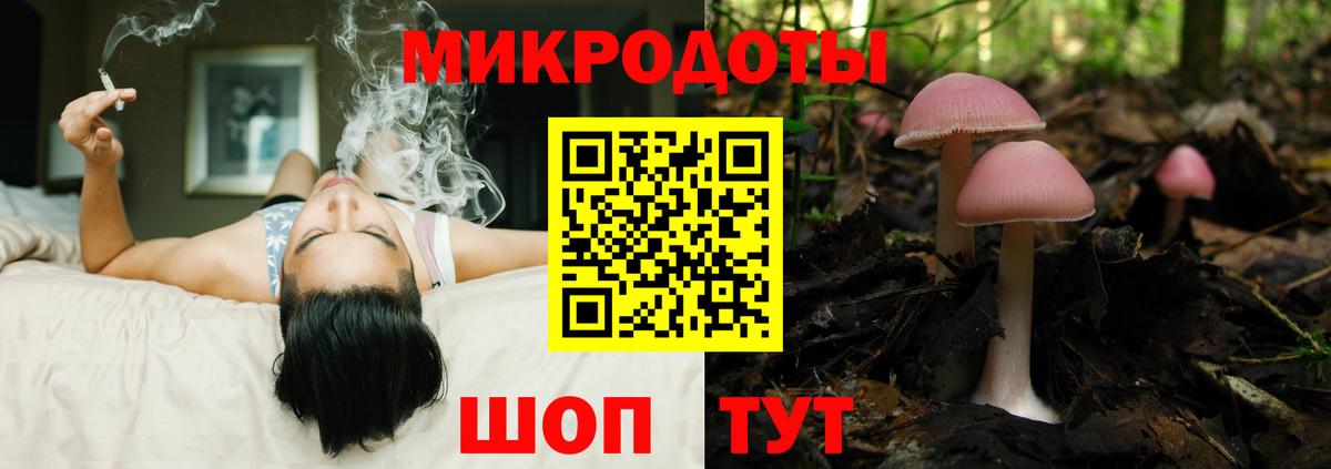 купить  сайты  Псилоцибиновые грибы ЛСД  Псилоцибиновые грибы прущие грибы  Вход с VPN  Воронеж 